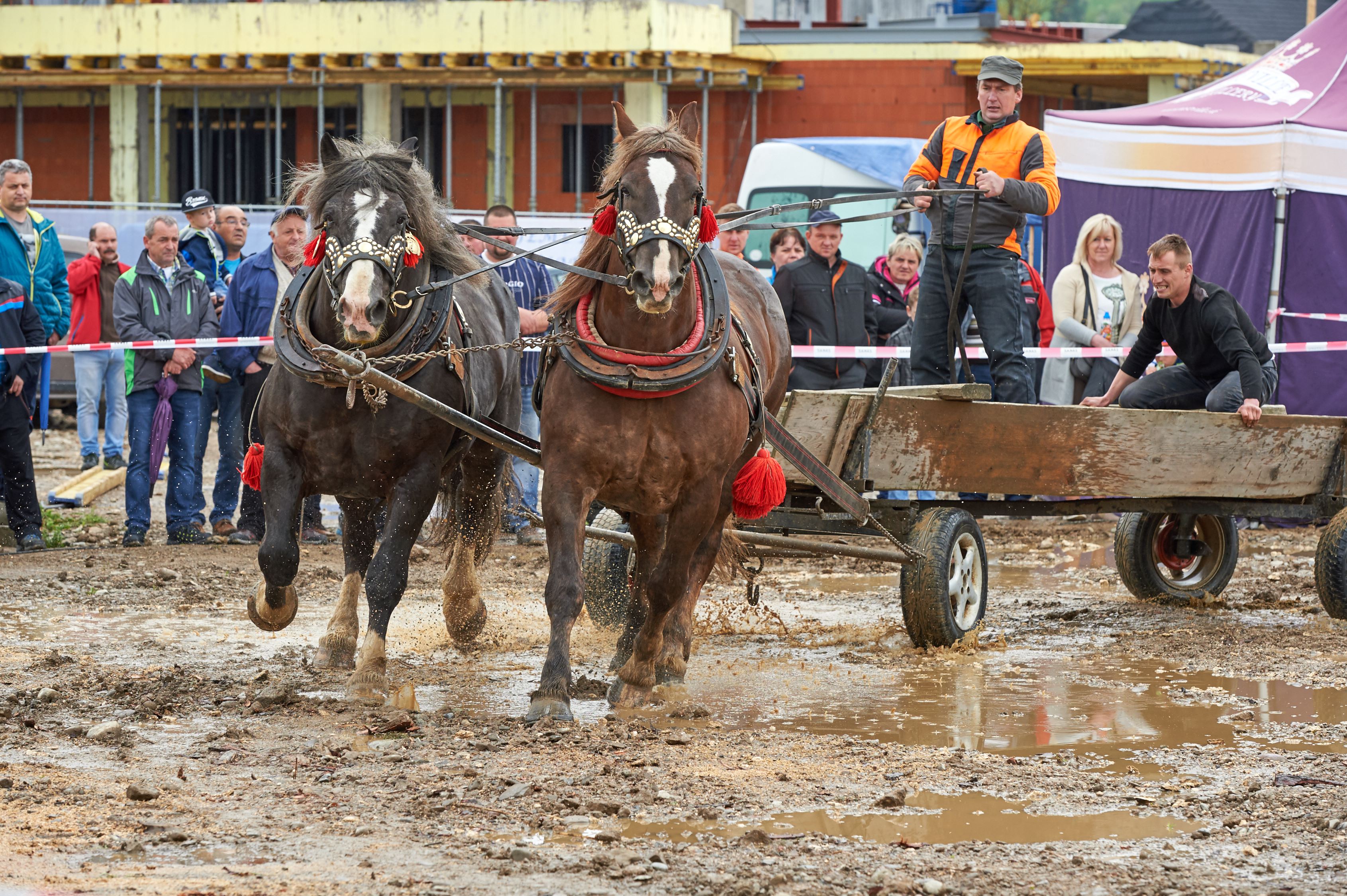 Slávnosť jari a Furmanské preteky