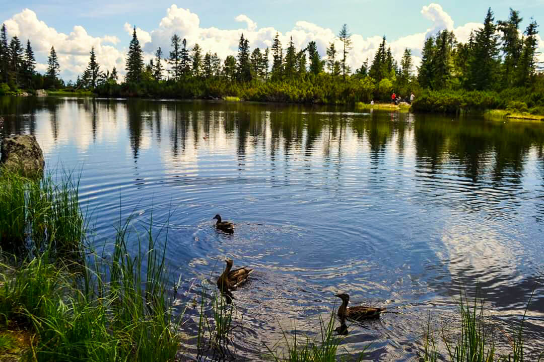Jamské pleso,  Autor: Nora Kiraly