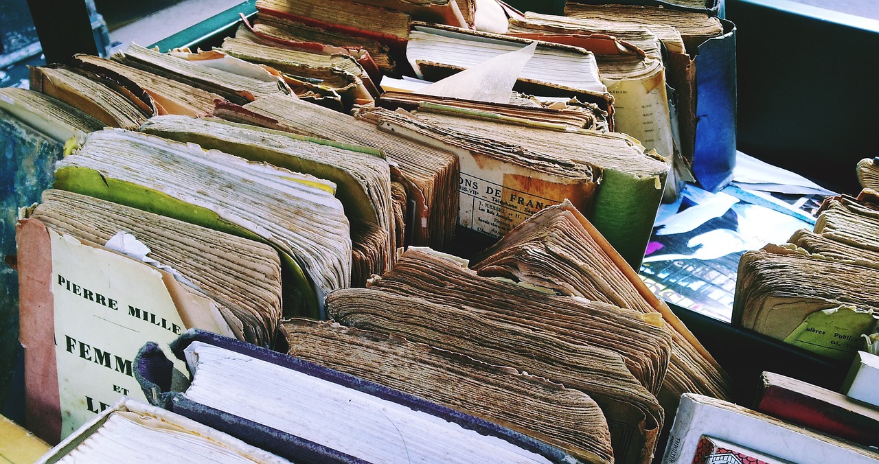 Blší trh a zberateľská burza starožitností a kuriozít