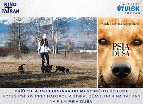 Útulok kinu, kino útulku