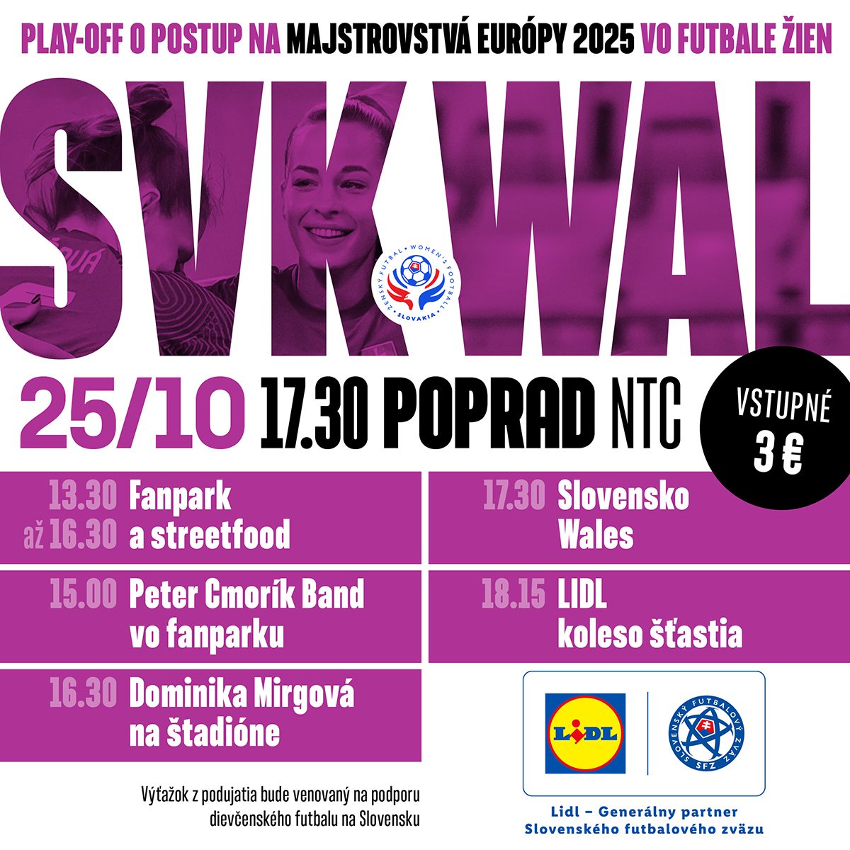 FUTBAL: Slovensko : Wales / ŽENY A