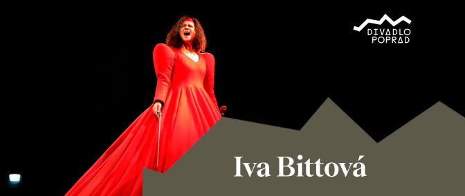 Koncert Iva Bittová