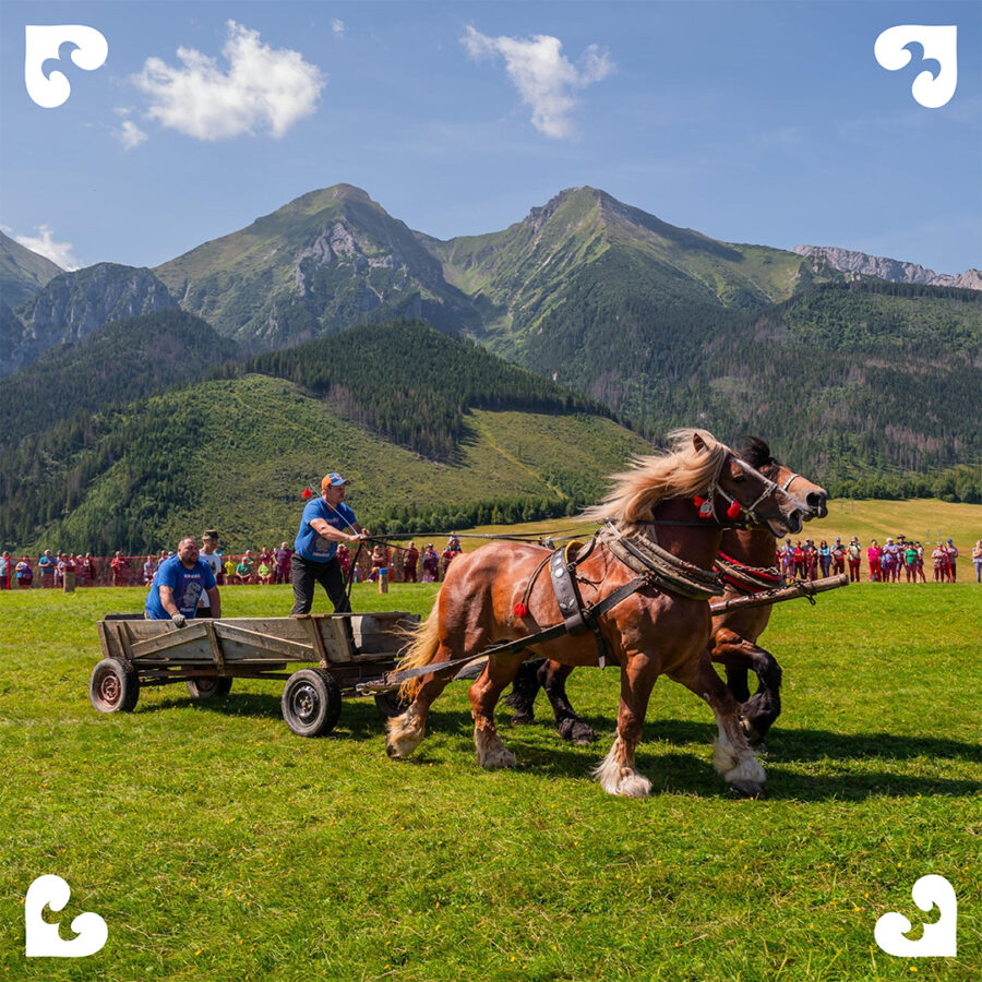 Majstrovstvá Slovenska furmanov