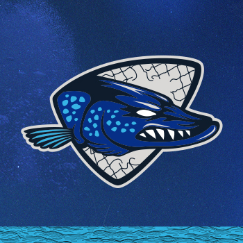 Hokejový zápas AquaCity Pikes – HK STEEL TEAM Trebišov