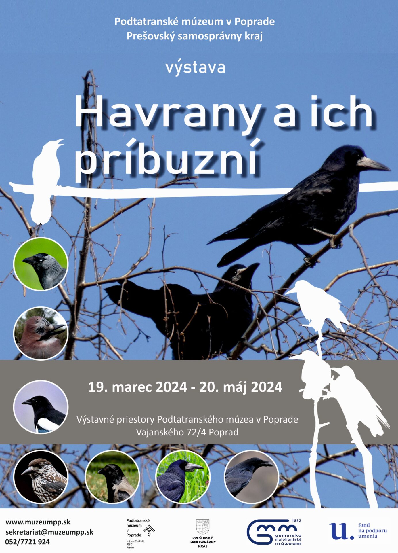 Výstava Havrany a ich príbuzní